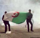 une alliance de toute la jeunesse algerienne,pour l'egalite ,la justice,democratie  et liberte d'expression